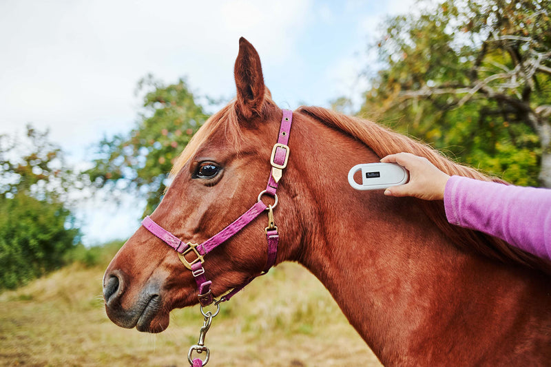 OUTPAW animal chip reader chip reader for animals RFID chip microchip animals ISO transponder for animal identification - PawsPlanet Australia