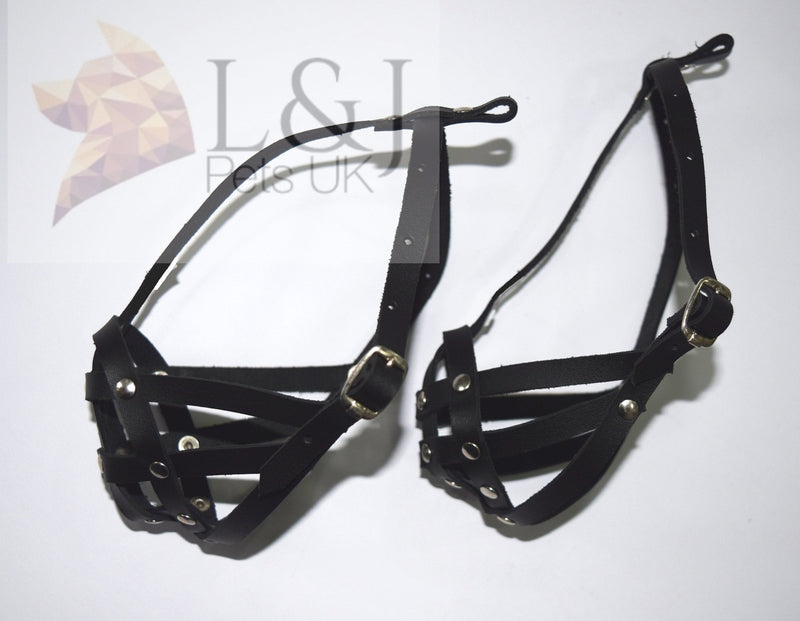 L&J Pets Uk Dog Muzzle for Shih Tzu, Pug and other flat face short snout dog's (M2, Black) - PawsPlanet Australia
