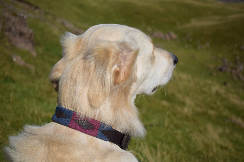 [Australia] - Gaucho Goods Premium Hand Stitched Leather Dog Collar Medium Napa Valley 
