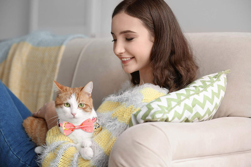 2 PCS Breakaway Cat Collar with Bow Tie and Bell Golden Moon Glowing Star in The Dark for Kitten Black & Pink - PawsPlanet Australia