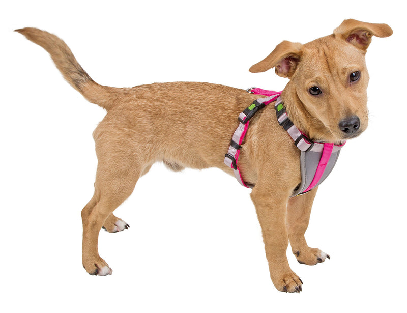 Kerbl Harness for Small Dogs XS, neon pink Pink(neon pink) XS - PawsPlanet Australia