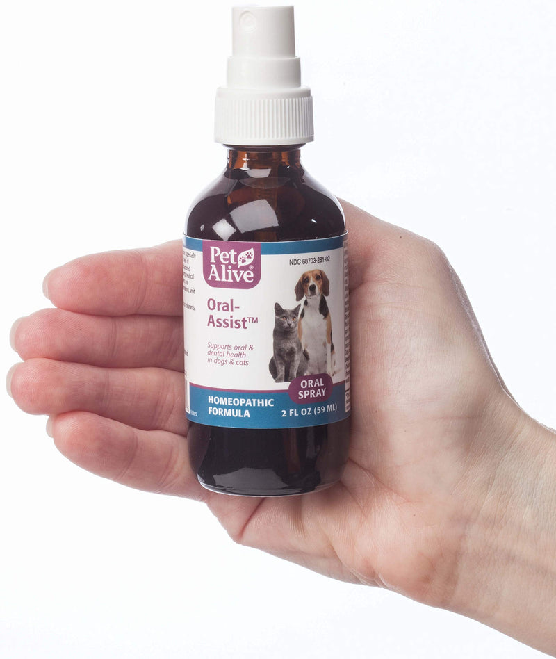 PetAlive Oral-Assist - Natural Homeopathic Formula Supports Oral and Dental Health in Dogs and Cats - Supports Healthy Teeth and Gums in Pets - 59 mL - PawsPlanet Australia