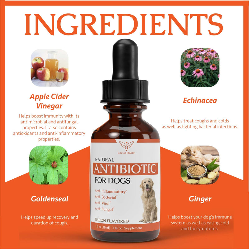 Natural Dog Antibiotics | Antibiotics for Dogs | Helps Support a Healthy Immune System | Supports Dog Allergy Relief | Dog Itch Relief | Dog Multivitamin | Pet Antibiotics | Dog Antibiotic | 1 fl oz - PawsPlanet Australia