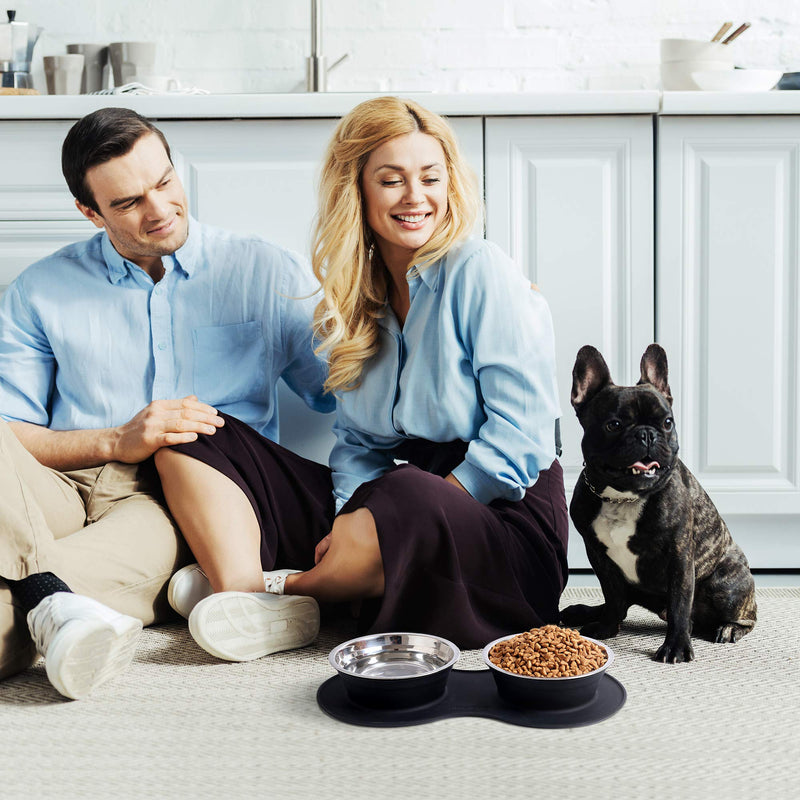 [Australia] - MyAvenue-Dog Food Bowl & Cat Bowls, Stainless Steel Dog Bowls for Medium Dogs with Non Slip Pet Bowl Silicone Mat - Pet Food Mat, No Spill Dog Water Bowl for All Pets 