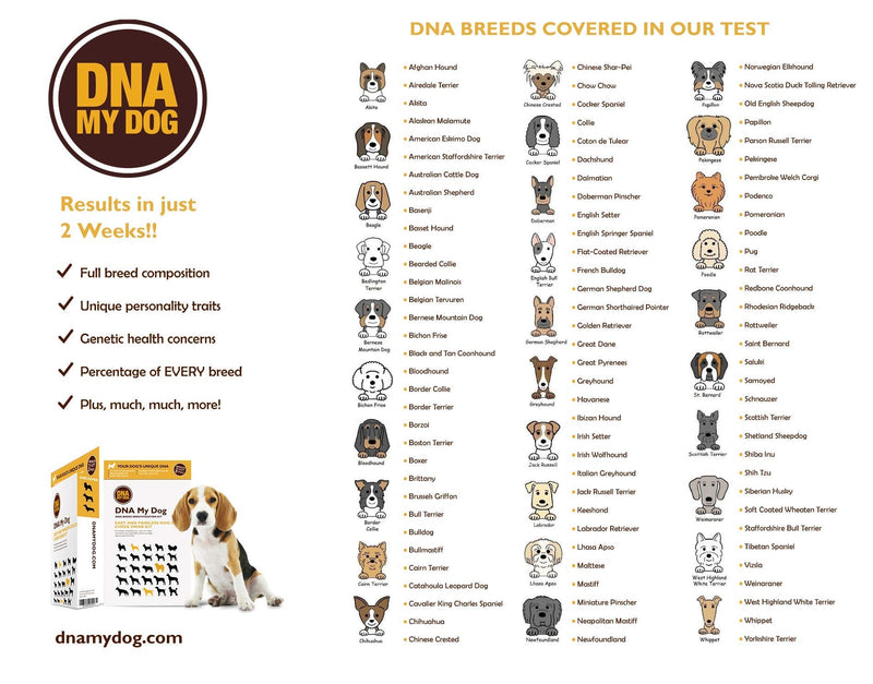 DNA My Dog Canine Breed Identification Test - PawsPlanet Australia