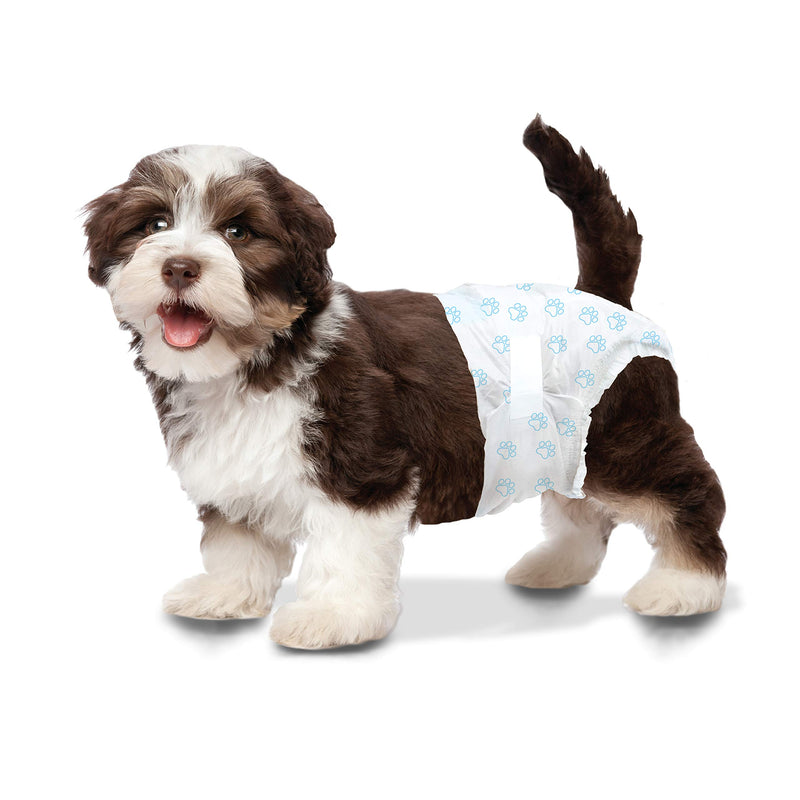 Four Paws Wee-Wee Disposable Dog Diapers 12 Count X-Small - PawsPlanet Australia