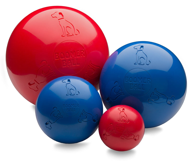 BOOMER BALL 4 inch, Virtually Indestructible Best Dog Toy, Boredom Busting Football, Tough & Durable Small Dog Ball, Floats on Water, Great for Mental Stimulation & High Energy Dogs, Assorted Colours Single - PawsPlanet Australia