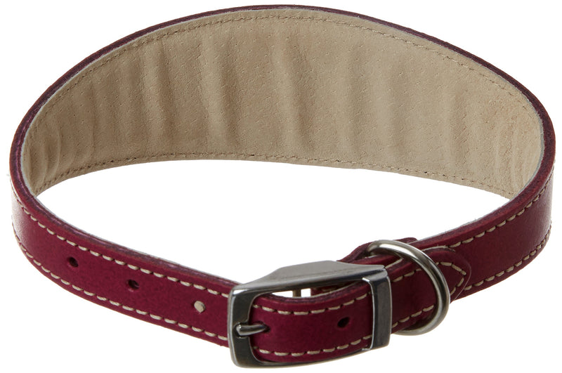 BBD PET PRODUCTS Greyhound Deluxe Collar,14"-16", Boysenberry - PawsPlanet Australia