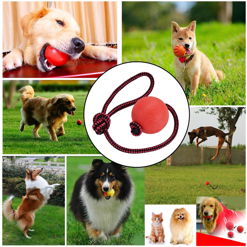 Legendog Dog Rope Ball, 3 Pcs Ball on a Rope Dog Toy Natural Elastic Solid Rubber Dogs Balls Chew Toys for Small Dogs - PawsPlanet Australia