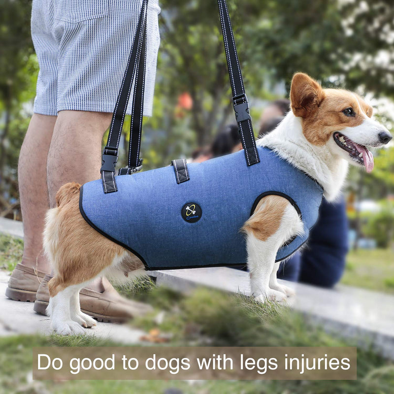 Coodeo Dog Lift Harness, Pet Support & Rehabilitation Sling Lift Adjustable Vest Breathable Straps for Old, Disabled, Joint Injuries, Arthritis, Loss of Stability Dogs Walk Extra Small - PawsPlanet Australia