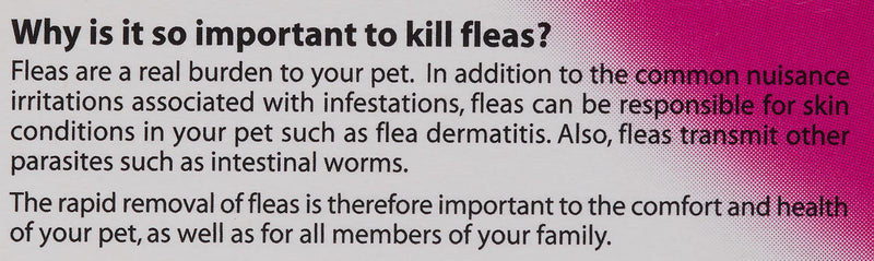 Johnsons 4Fleas Tablets for Cats and Kittens, 6 Treatment Pack & Cat Flea Cleansing Shampoo 125 ml + Cat Cleansing Shampoo - PawsPlanet Australia