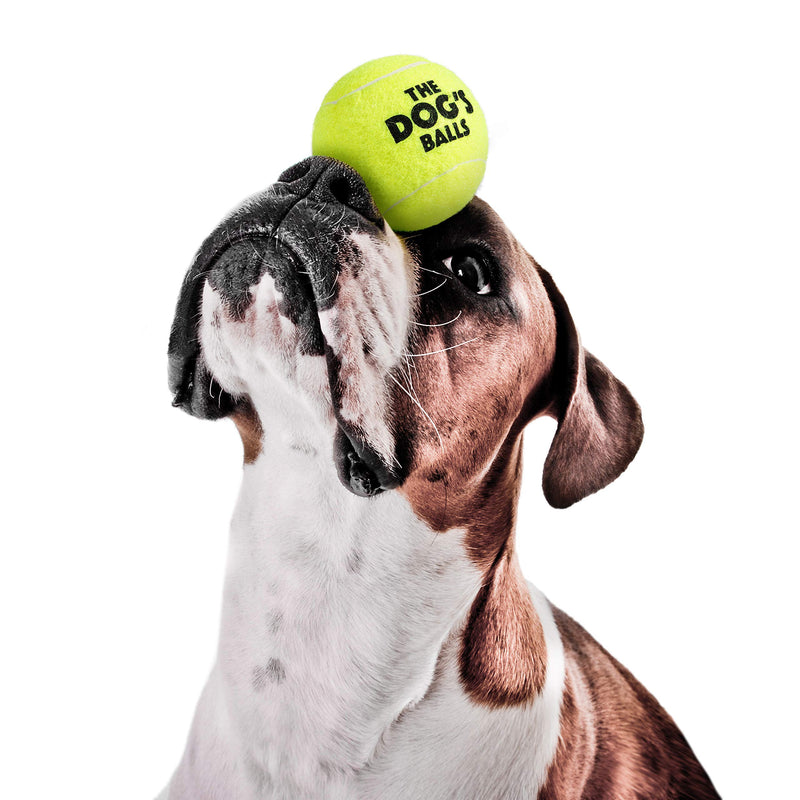The Dog's Balls, Dog Tennis Balls, 12-Pack Yellow Dog Toy, Strong Dog & Puppy Tennis Ball The Dog's Balls (Pack of 12) - PawsPlanet Australia