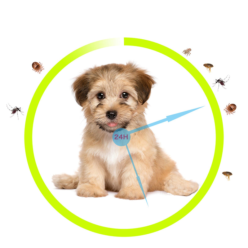 [Australia] - LULUMORE 2 Pcs Dog for Flea and Tick Collars (62 cm) 