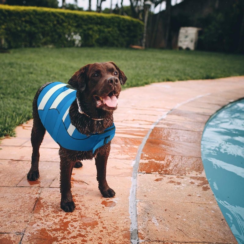 Phyxin Dog Life Jacket, Adjustable Dog Life Vest for Swimming, Striped Puppy Life Jacket, Pet Life Preserver with Leash Hole, for Small Medium Large Dogs X-Small Blue - PawsPlanet Australia