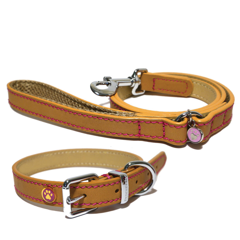 Rosewood Luxury Leather Dog Collar, Tan, Samml 10 - 14 inch 10 - 14-inch - PawsPlanet Australia