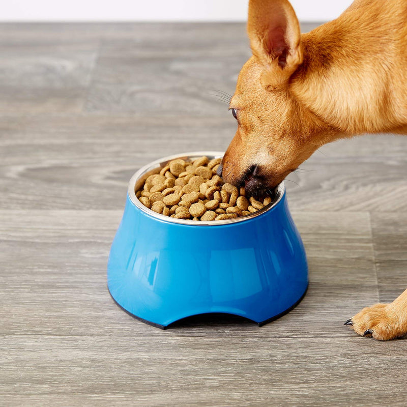 [Australia] - Dogit Elevated Dog Bowl, Stainless Steel Food and Water Dish for Large Dogs, Small, Blue 