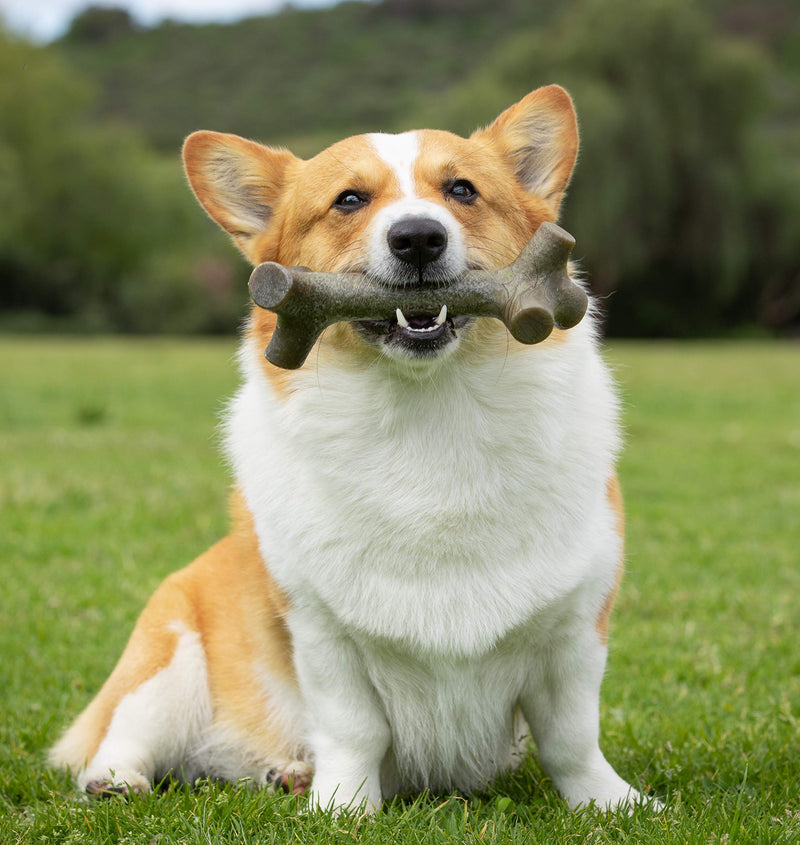 [Australia] - Pet Qwerks BarkBone Stick - For Aggressive Chewers Peanut Butter Large 