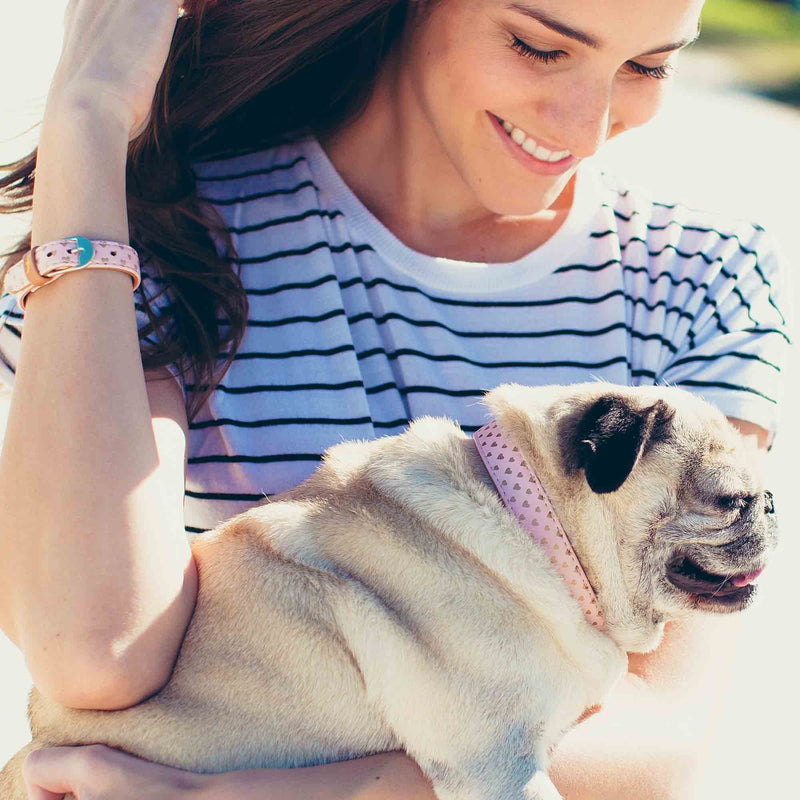 FriendshipCollar Dog Collar and Friendship Bracelet - Puppy Love - Medium - PawsPlanet Australia