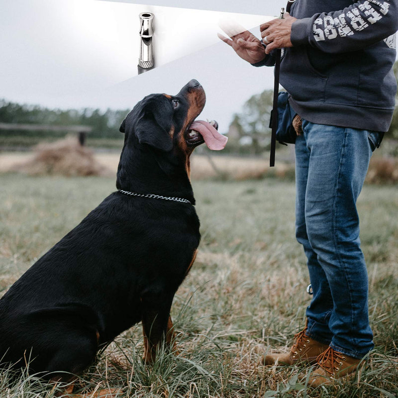 [Australia] - LUTER 2Pcs Dog Whistle to Stop Barking, Professional Adjustable Pitch Ultrasonic Dog Training Whistle and Silent Barking Control for Dogs with 2 Lanyard 