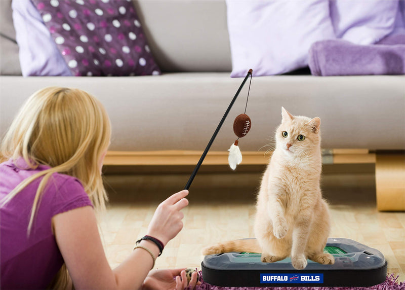 [Australia] - Pets First CAT Scratcher Toy Miami Dolphins 