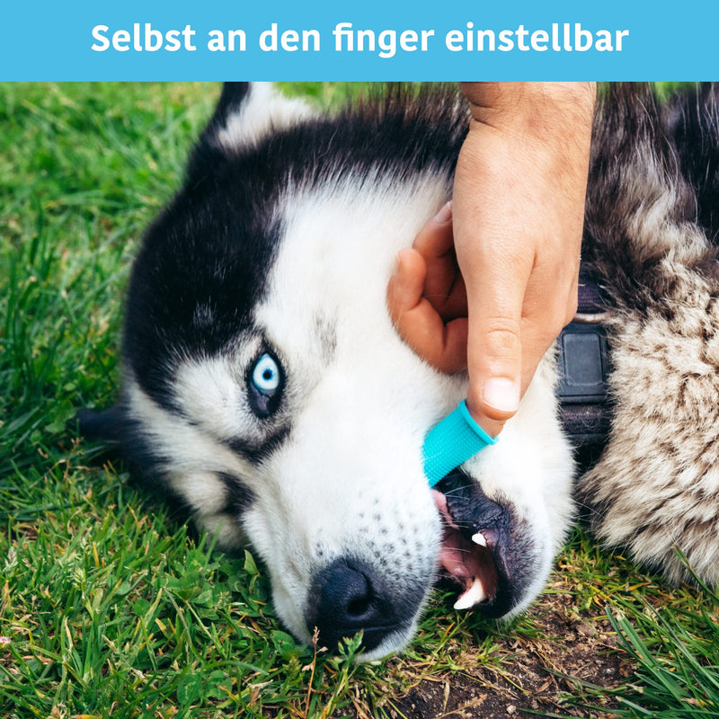 Dog toothbrush (set of 2) - dog toothbrush and cat toothbrush 360 degrees - dog toothbrush for small dogs, large dogs - finger cots dog dental care - dog toothbrush and cat toothbrush - PawsPlanet Australia