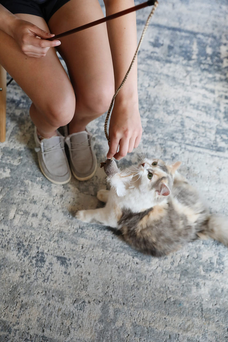 Our Pets Cat Toy Mouse Play-N-Squeak Cat Toys for Indoor Cats [Interactive Cat Toy, Catnip Toy, Catnip Toys for Cats, Real Mouse Sound] Kitty and Kitten Toys w/ Cat Nip for Enrichment Tethered & Feathered - PawsPlanet Australia