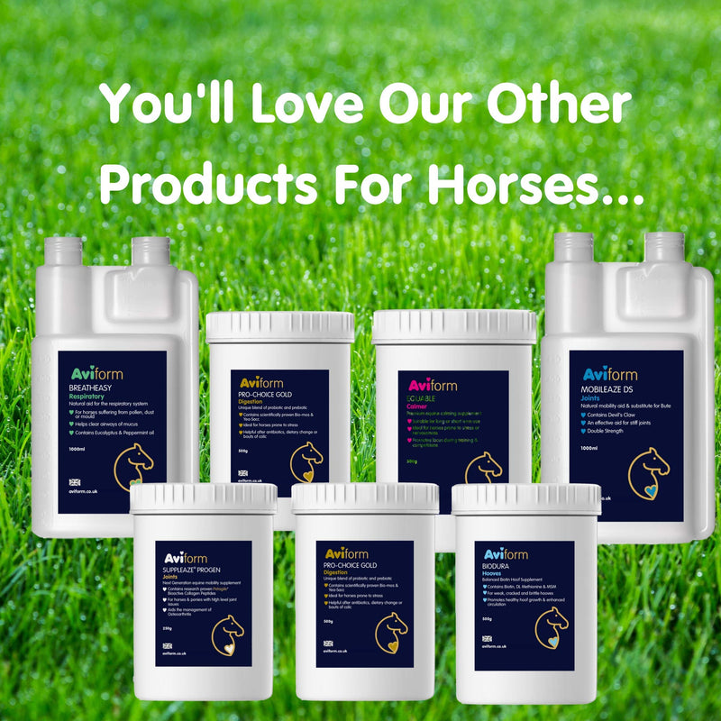 Aviform MSM Equine Joint Supplement for Horses and Ponies. Highest Purity for Excellent Joint Maintenance, Healthy Growth of The Hoof, Tendons, Soft Tissue, Muscles and Ligaments - 3kg - PawsPlanet Australia