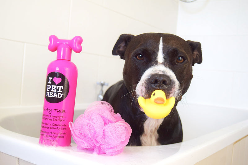 [Australia] - Pet Heads Oatmeal Natural Shampoo (12 oz) 