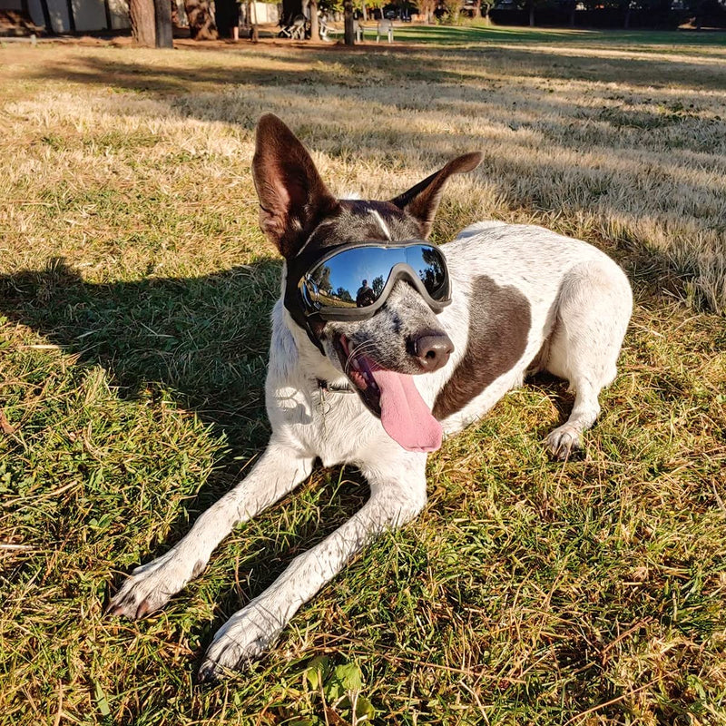 PETLESO Dog Goggles Large Eye Protection Dog Sunglasses for Middle/Large Dogs Black - PawsPlanet Australia