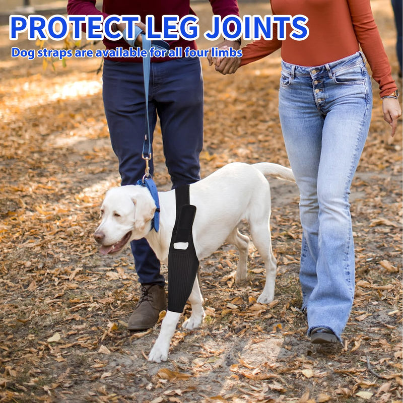 Dog Knee Brace Leg Braces - Dog Canine Knee Brace with 9 Metal Stabilizers Dog Knee Brace for Torn ACL Muscle Sore Hind Leg Joint Pain Reduces Inflammation (XL) XL - PawsPlanet Australia