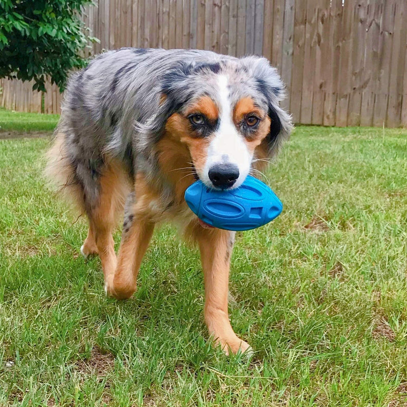 EASTBLUE Squeaky Dog Toys for Aggressive Chewers: Rubber Puppy Chew Ball with Squeaker, Almost Indestructible and Durable Pet Toy for Medium and Large Breed… Blue - PawsPlanet Australia