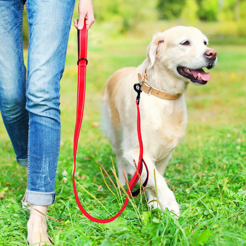 Aepeasti Dog Leash for Medium to Large Dogs with Two Padded Handles 5FT/6FT, Double Handle Dog Leash, Reflective Training Leash, Durable Traffic Leash 6FT Red - PawsPlanet Australia