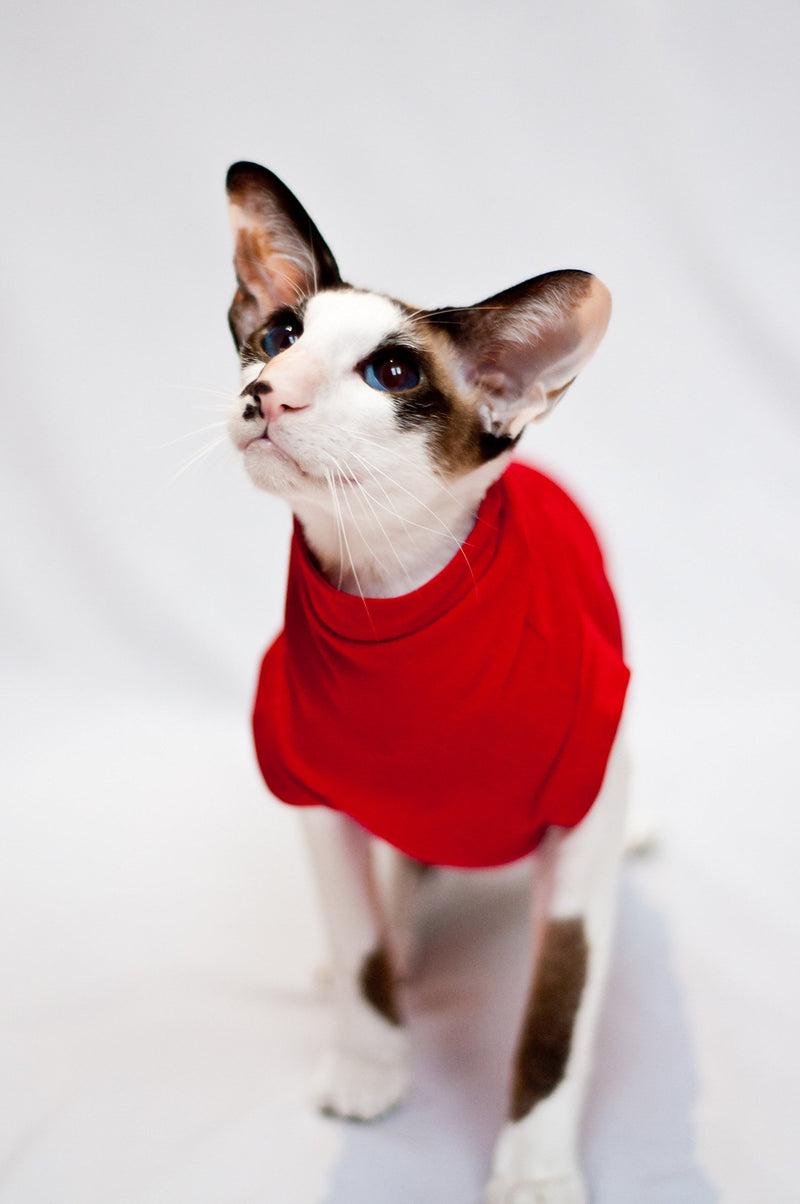 Kotomoda cat wear turtleneck maxi Winter In Red (XL) XL - PawsPlanet Australia