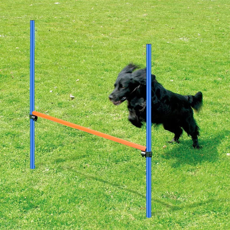 PAWISE Pet Dogs Outdoor Games Agility Exercise Training Equipment Agility Starter Kit Jump Hoop Hurdle Bar Agilityhurdle - PawsPlanet Australia