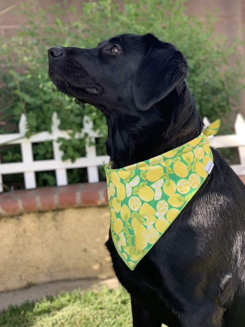 [Australia] - Willowear Red, White, and Blue American Flag, Lemons Dog Bandanas for Everyday Adventures Xlarge Lemonade 