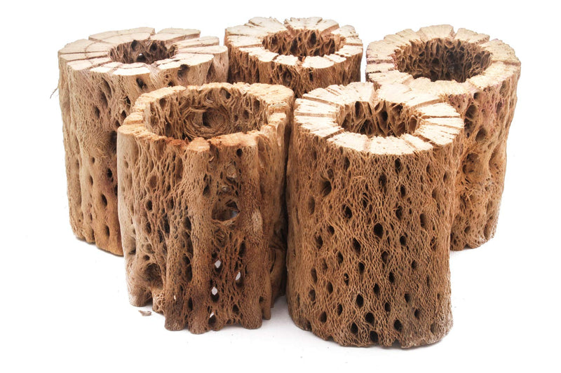 My Pet Patrol 3 to 48 Inch All Natural Teddy Bear Cholla Wood Extra Hollow Large Untreated Organic Aquarium Driftwood Decoration Chew Toy Shrimp Crab Multi-Quantity 1 Piece, 3 inch - PawsPlanet Australia
