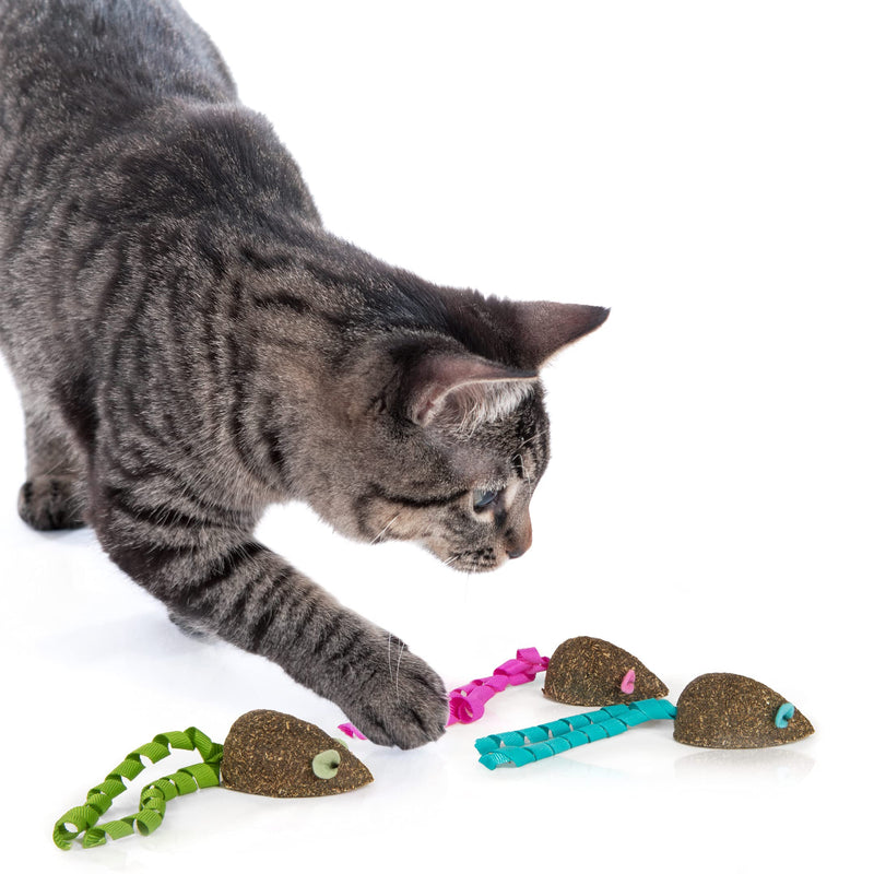 SmartyKat Catnip Toys for Cats & Kittens, Stimulating, Fun & Engaging Play - Multiple Sets & Styles Magic Mice, 3-Set - PawsPlanet Australia