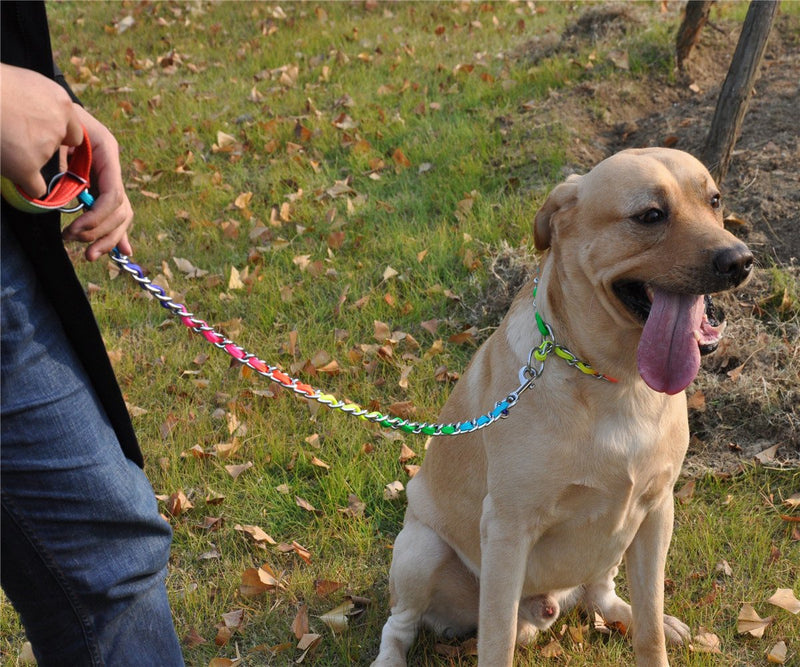 JWPCEU Rainbow Chrome Plated Metal Dog Lead with Padded Handle M (3mm * 100cm) - PawsPlanet Australia