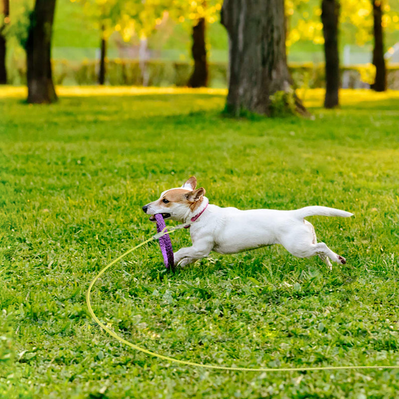 [Australia] - Tie Out Cable for Dogs Up to 30/60/90/125 Pounds, 15/20/30/40ft Length Available, Dog Runner with Shock Absorbing Spring for Yard and Camping, Reflective & Rust Proof Leash for Small to Large Dogs 35lbs15ft Yellow 