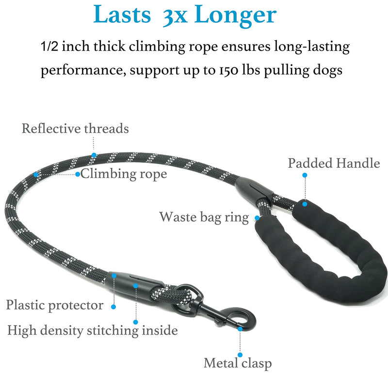 iYoShop Dual Dog Leash, Double Dog Leash, 360 Swivel No Tangle Walking Leash, Shock Absorbing Bungee for Two Dogs, Medium (8-35 lbs) | Large (25-150 lbs) Black - PawsPlanet Australia