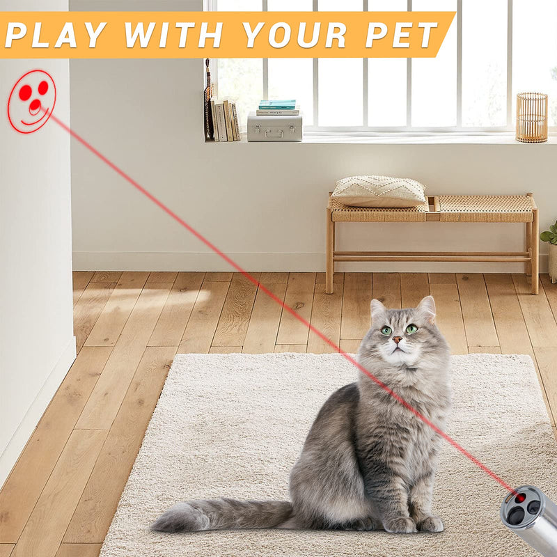 Cat Toys for Indoor Cats Kitten Dogs Catch Interactive Red LED projecter Pointer, Pet Training Tool (USB Charging and 5 Patterns) - PawsPlanet Australia