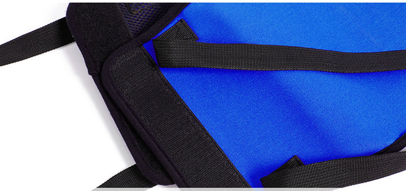 [Australia] - Blue Dog Lift Support Harness with Handle for Canine Older or Injuries Hind Leg-Lifting K9 for Injuries, Arthritis or Joints.Assist Sling for Rehabilitation & Stability & Mobility Large Blue 