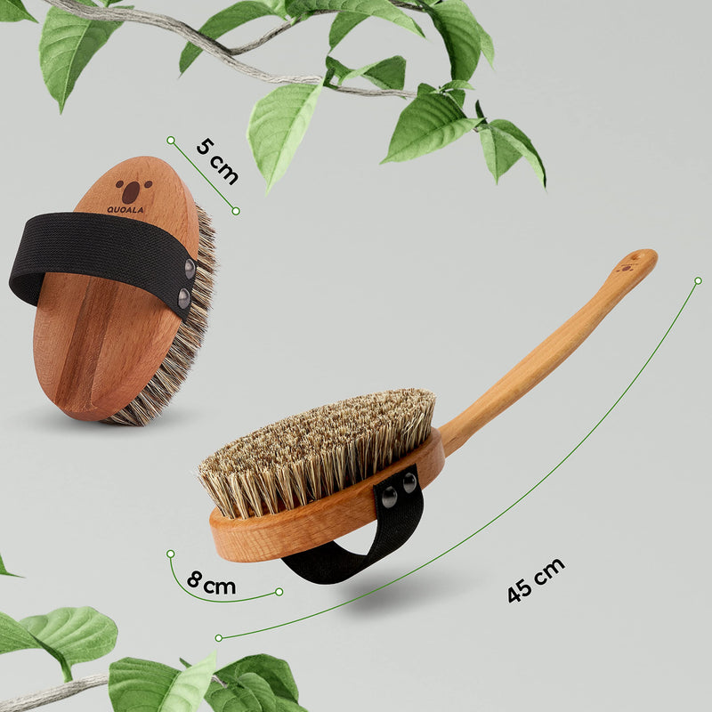 Sustainable body brush: bath brush made of wood and natural bristles (sisal & horsehair). Body Brush, Long Handle Back Brushes, Wet Brush & Dry Brush. 100% German production. MEDIUM-STRONG bristles (bristles made of sisal & horsehair) - PawsPlanet Australia
