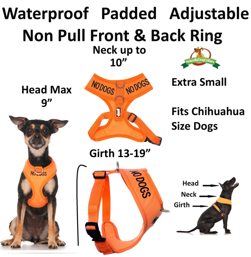 [Australia] - Dexil Limited NO Dogs (Not Good with Other Dogs) Orange Color Coded Non-Pull Front and Back D Ring Padded and Waterproof Vest Dog Harness Prevents Accidents by Warning Others of Your Dog in Advance Extra Small Harness 13-19inch Chest/Girth 