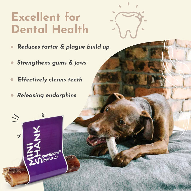 Purplebone Venison Shank Bone Dog Treats, Pack of 1, Dog Bone Treats for Medium or Small Breeds | 100% Natural, Light & Tasty Sticks | Free From Hormones, Additives Or Antibiotics - PawsPlanet Australia