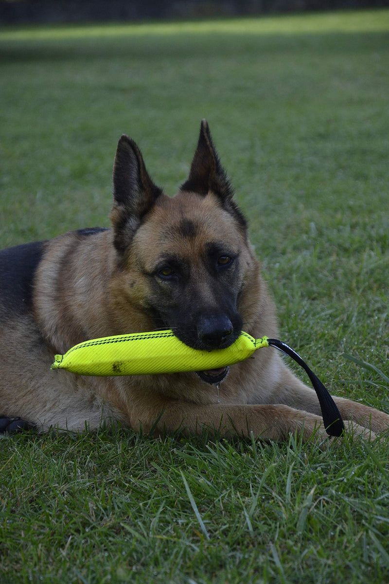 DINGO GEAR Firehose Bite Tug Strong Dog Toy, Yellow, 0.159 kg - PawsPlanet Australia