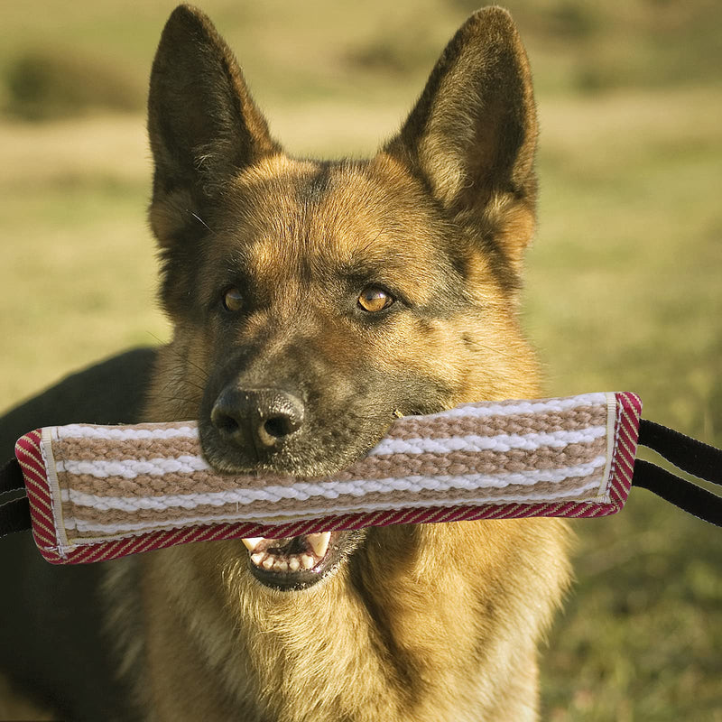 EPODA Pack of 2 bite sausages for dogs, jute bite sausage K9 training with 2 handles, tug of war and pulling games with dogs, dog bite tug toy, robust dog toy - PawsPlanet Australia