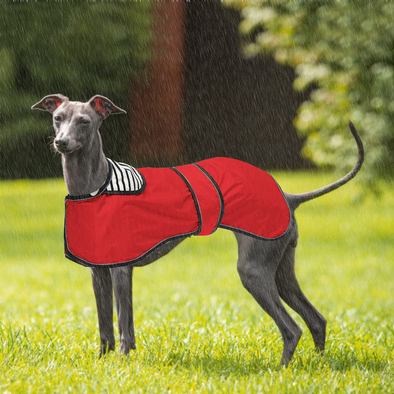 Morezi Dog Raincoat with Reflective Bar, Rain/Water Resistant, Adjustable Vest - Stylish Premium Dog Raincoats for Greyhounds, Lurchers and Whippets - Red - S Small (Length: 51CM) - PawsPlanet Australia