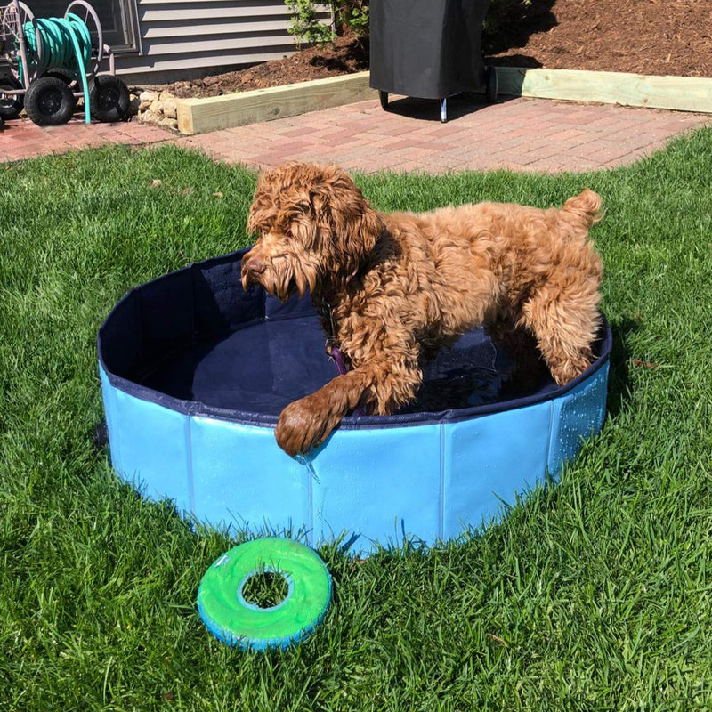 Filfresh Doggy Paddling Pool 80 * 20 cm for Puppy Little Dog Foldable Paddling Pool 32 Inch Dog Paddling Pool Small Blue Pet Paddling Pool PVC 0.55 mm Dog Swimming Pool Dog Bath Tub Pet Bath - PawsPlanet Australia