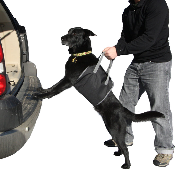 [Australia] - PupBoost Lift Harness for Dogs, Help Disabled or Elderly Dogs Into Car, Lift Harness by Outward Hound 